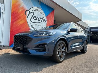 Ford Kuga Gebrauchtwagen Kaufen