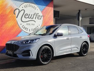 Ford Kuga Gebrauchtwagen Kaufen