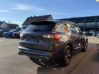 Ford Kuga Plug-In Hybrid ST-Line X/Panodach/ACC/AHK - bilder 7