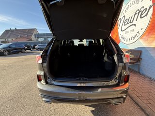 Ford Kuga Plug-In Hybrid ST-Line X/Panodach/ACC/AHK - bilder 5