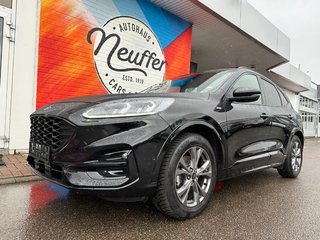 Ford Kuga Gebrauchtwagen Kaufen