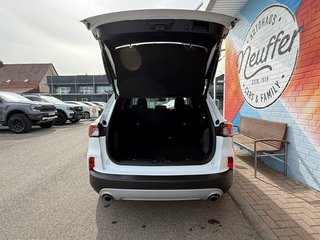 Ford Kuga Plug-In Hybrid Titanium /AHK abnehmbar/ACC - foto 7