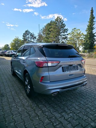 Ford Kuga Plug-In Hybrid ST-Line X/Pano Schiebedach/AHK schwenkbar - bilder 7