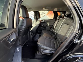 Ford Kuga Plug-In Hybrid Titanium X/ACC/AHK schwenkbar - bilder 10