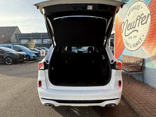 Ford Kuga Plug-In Hybrid ST-Line X/ACC/AHK schwenkbar - bilder 8