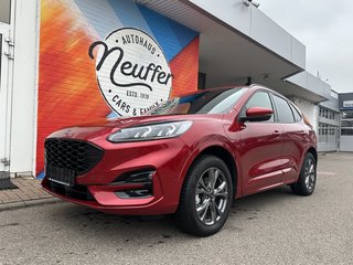 Ford Kuga Gebrauchtwagen Kaufen