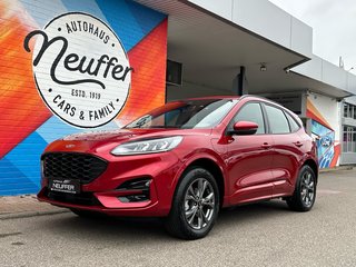 Ford Kuga Gebrauchtwagen Kaufen