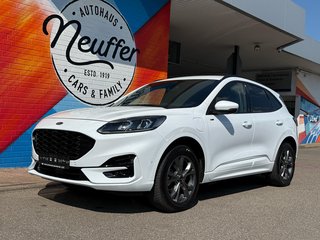 Ford Kuga Gebrauchtwagen Kaufen