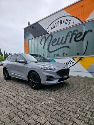 Ford Kuga Gebrauchtwagen Kaufen