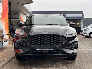 Ford Kuga Plug-In Hybrid ST-Line X/Styling-Paket/ACC - foto 3
