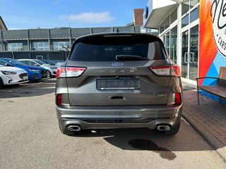 Ford Kuga Plug-In Hybrid ST-Line X/AHK abnehmbar/ACC - foto 6