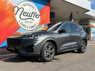 Ford Kuga Gebrauchtwagen Kaufen