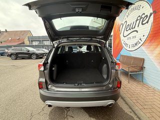 Ford Kuga Hybrid Titanium Allrad/AHK schwenkbar - bilder 7