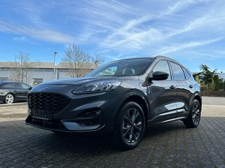 Ford Kuga Gebrauchtwagen Kaufen