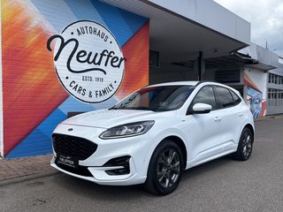 Ford Kuga Gebrauchtwagen Kaufen