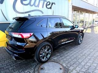 Ford Kuga Plug-In Hybrid ST-Line X/ACC/AHK schwenkbar - bilder 6