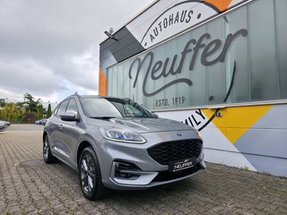 Ford Kuga Gebrauchtwagen Kaufen