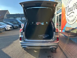 Ford Kuga Plug-In Hybrid ST-Line X/ACC/LED/Frontkamera - foto 8