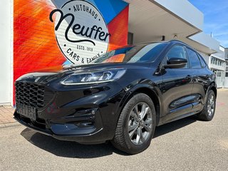 Ford Kuga Gebrauchtwagen Kaufen