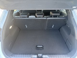 Ford Puma ST-Line X 125PS Rf-Kamera Winter-Paket  - foto 10