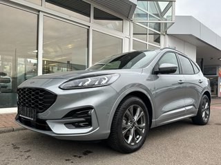 Ford Kuga Gebrauchtwagen Kaufen