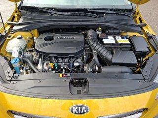 Kia XCeed 1.6 T-GDI Platinum Edition AUTOMATIK / LEDER / AHK / PANORAMA - bilder 7