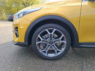 Kia XCeed 1.6 T-GDI Platinum Edition AUTOMATIK / LEDER / AHK / PANORAMA - bilder 8