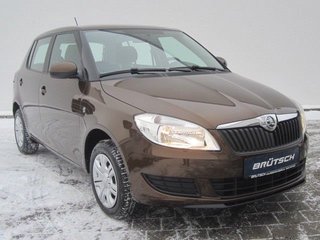 Skoda Fabia Gebrauchtwagen Kaufen