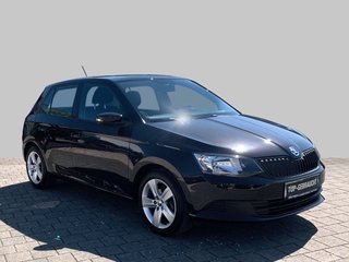Skoda Fabia Gebrauchtwagen Kaufen