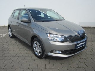 Skoda Fabia Gebrauchtwagen Kaufen