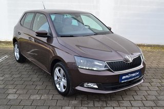 Skoda Fabia Gebrauchtwagen Kaufen