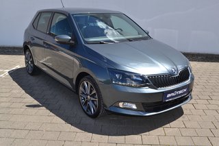 Skoda Fabia Gebrauchtwagen Kaufen