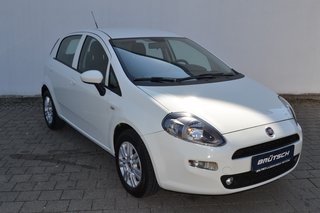Fiat Punto Gebrauchtwagen Kaufen