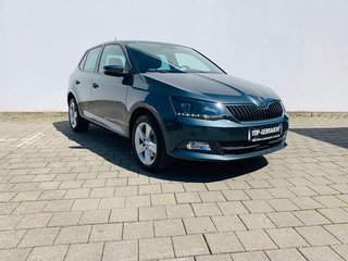 Skoda Fabia Gebrauchtwagen Kaufen