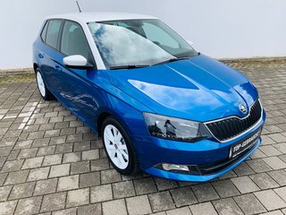 Skoda Fabia Gebrauchtwagen Kaufen