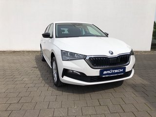 Skoda Scala age.one-day registration Kaufen