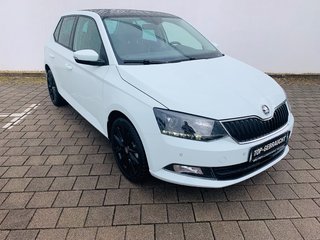 Skoda Fabia Gebrauchtwagen Kaufen