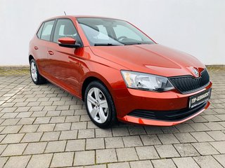 Skoda Fabia Gebrauchtwagen Kaufen