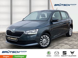 Skoda Fabia Gebrauchtwagen Kaufen
