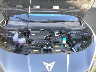 CUPRA Tavascan Endurance 210kW/286PS Adrenaline Pack - bilder 12