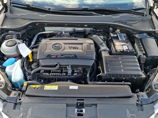 Seat Leon 2.0 TSI Cupra 290 DSG / NAVI / LED / KAMERA / DAB - bilder 7