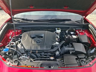 Mazda CX-30 Nagisa 2.5 e-SKYACTIV-G 2WD AUTOMATIK / BOSE / NAVI - foto 12