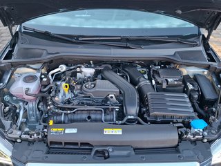 SEAT Ibiza 1.5 TSI FR Pro Black Edition DSG / NAVI / LED / BEATS / ACC - bilder 7