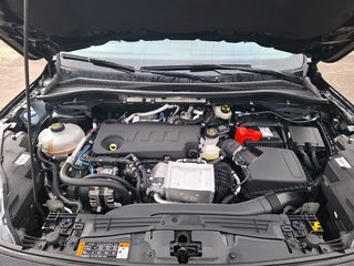 Ford Kuga 2.0 TDCi Vignale AWD / AUTOMATIK / AHK / STHZG / LEDER - bilder 7