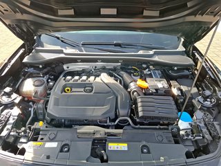 Cupra Formentor 1.5 TSI DSG / KLIMA / NAVI / ACC / SITZHEIZUNG - bilder 12