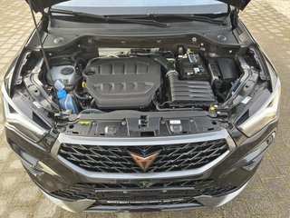 CUPRA Ateca 2.0 TSI Edition VZ 4Drive DSG / LEDER / AHK / PANORAMA - bilder 7