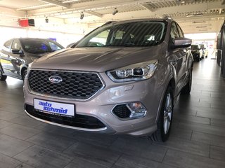 Ford Kuga Gebrauchtwagen Kaufen