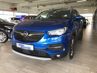 Opel Grandland X Gebrauchtwagen Kaufen