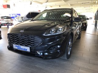 Ford Kuga Vorführfahrzeug Kaufen