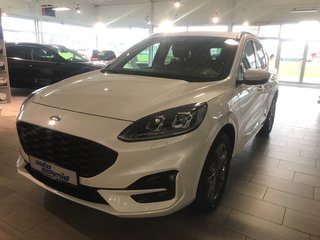 Ford Kuga Gebrauchtwagen Kaufen
